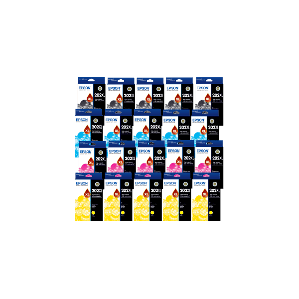 Genuine Epson 202XL 20 Ink Value Pack High Yield