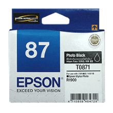 Genuine Epson 87 Photo Black Ink Cartridge