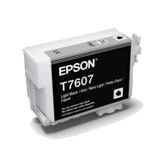 Genuine Epson 760 Light Black Ink Cartridge